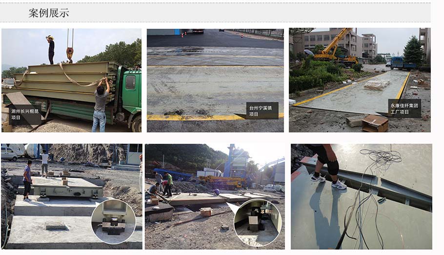 電子汽車（chē）衡