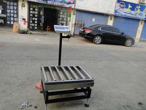 滾輪電（diàn）子秤 輥道秤廠家定製